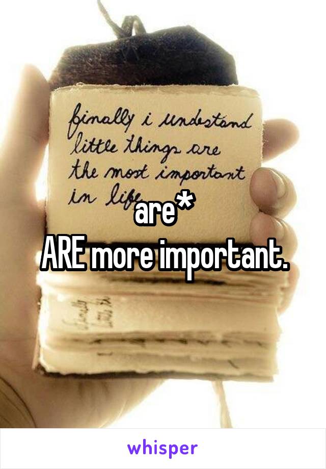 are*
ARE more important.