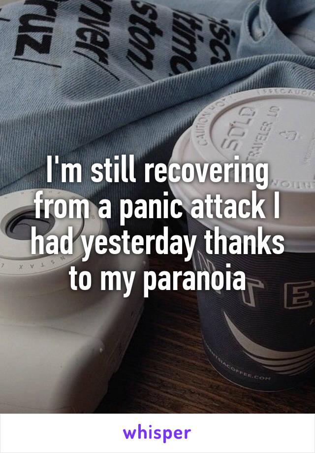 I'm still recovering from a panic attack I had yesterday thanks to my paranoia