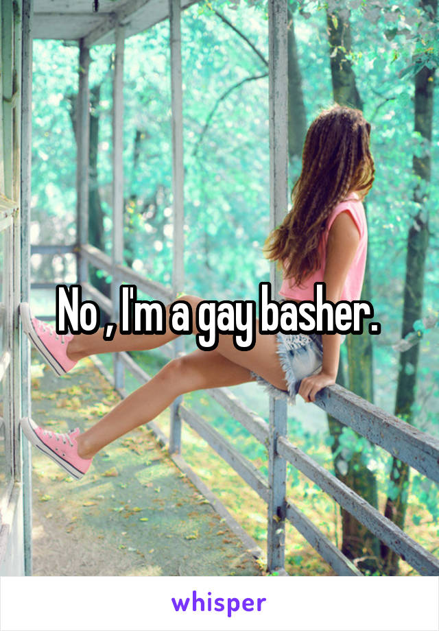 No , I'm a gay basher. 