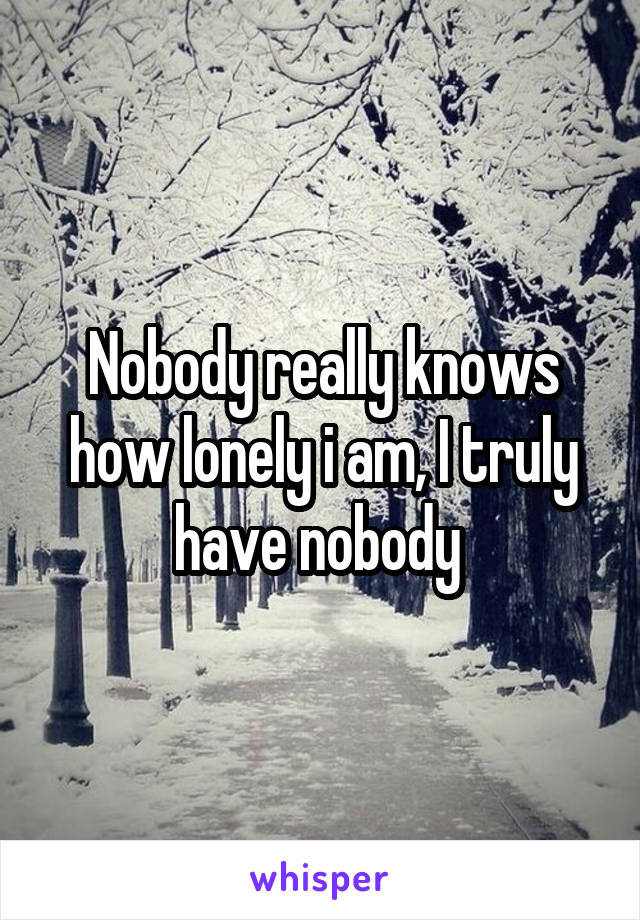 Nobody really knows how lonely i am, I truly have nobody 