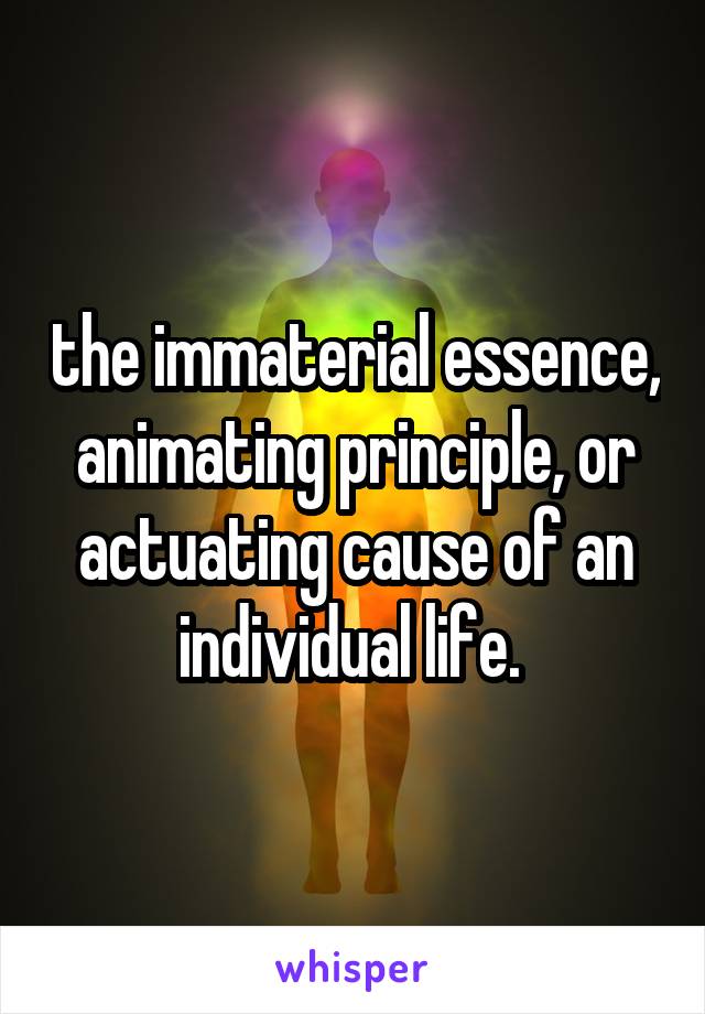 the immaterial essence, animating principle, or actuating cause of an individual life. 