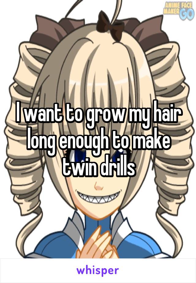 I want to grow my hair long enough to make twin drills
