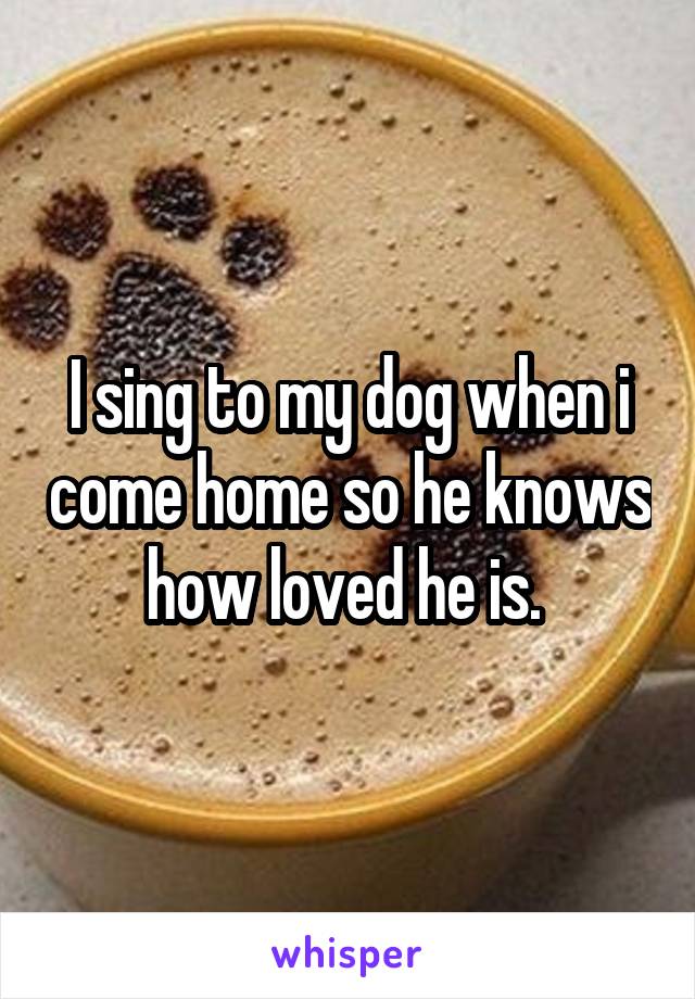 I sing to my dog when i come home so he knows how loved he is. 