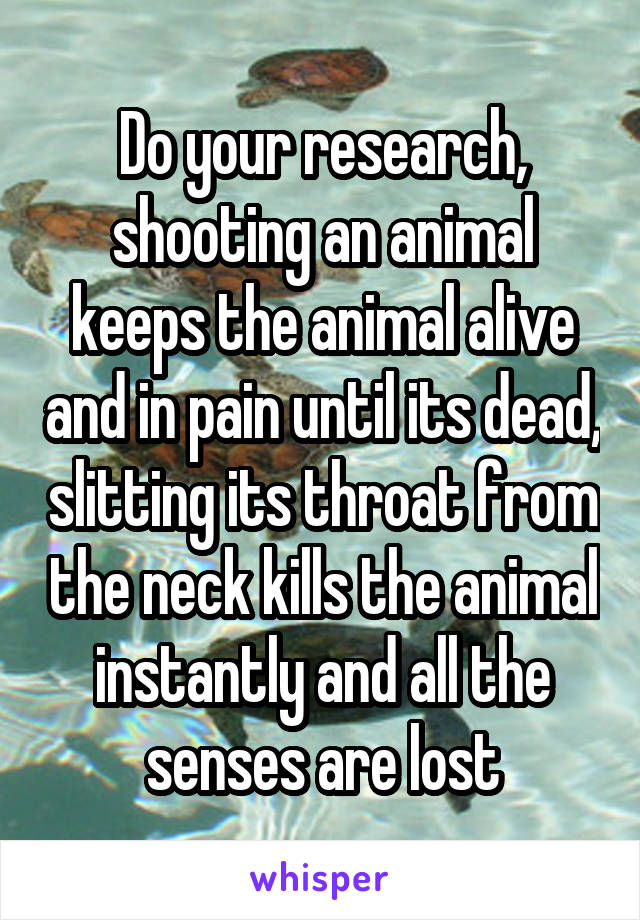 Do your research, shooting an animal keeps the animal alive and in pain until its dead, slitting its throat from the neck kills the animal instantly and all the senses are lost