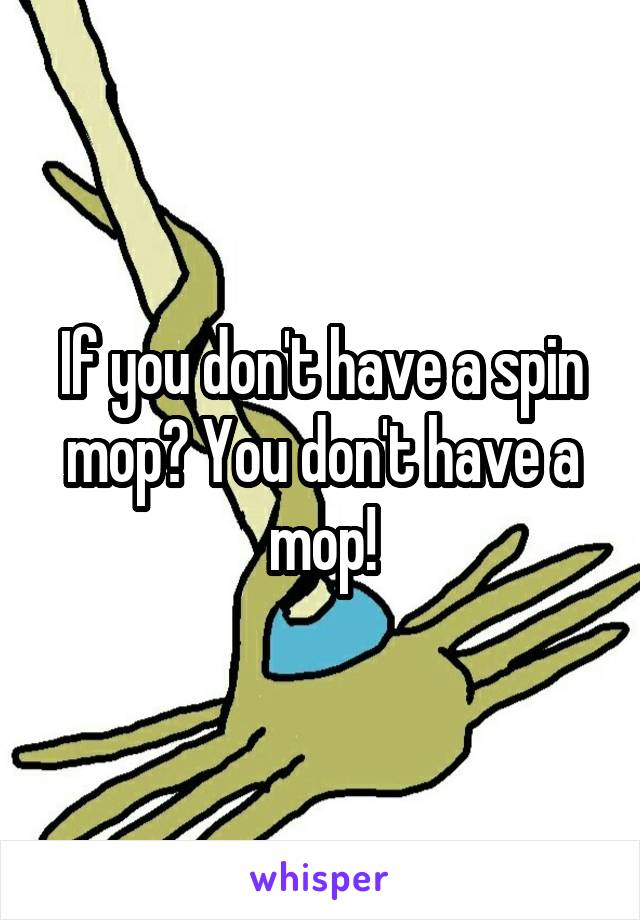 If you don't have a spin mop? You don't have a mop!