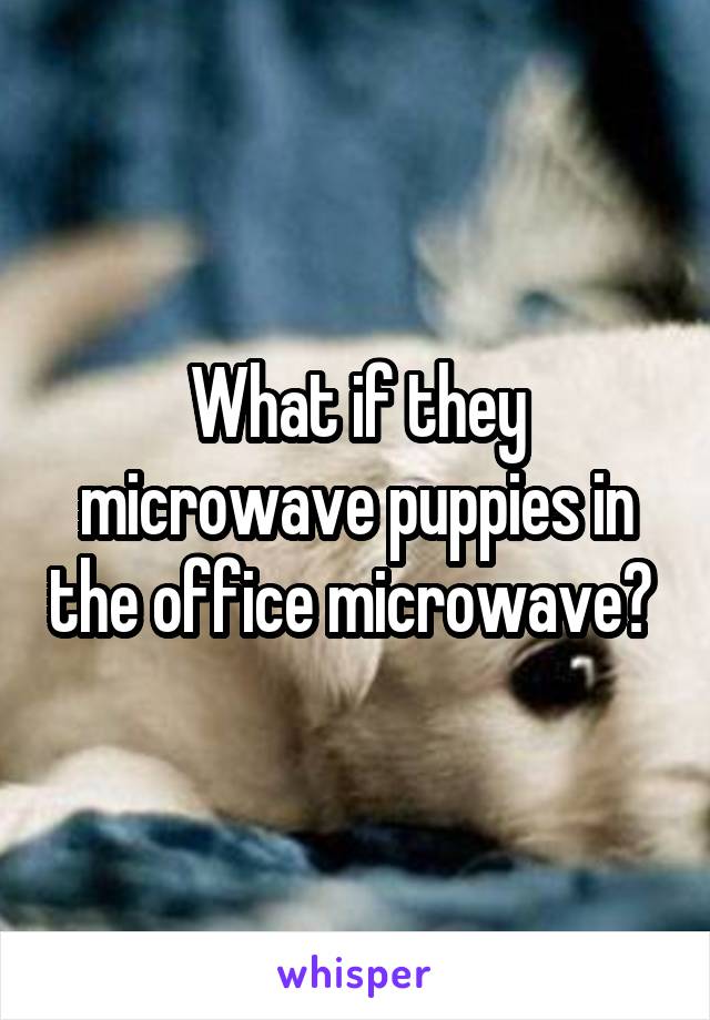 What if they microwave puppies in the office microwave? 