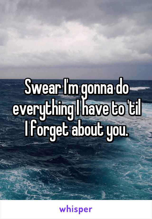 Swear I'm gonna do everything I have to 'til I forget about you.