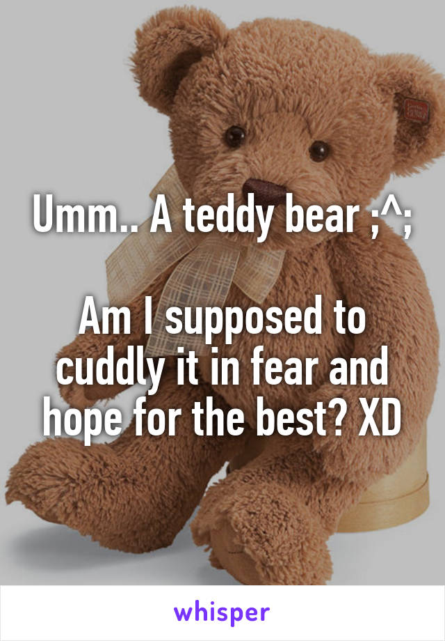 Umm.. A teddy bear ;^; 
Am I supposed to cuddly it in fear and hope for the best? XD