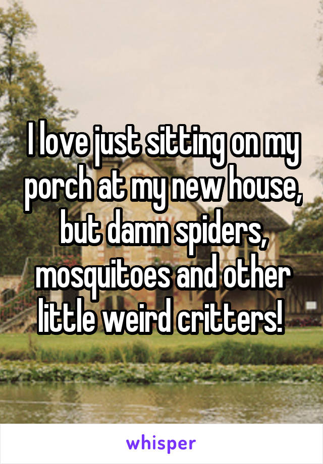 I love just sitting on my porch at my new house, but damn spiders, mosquitoes and other little weird critters! 