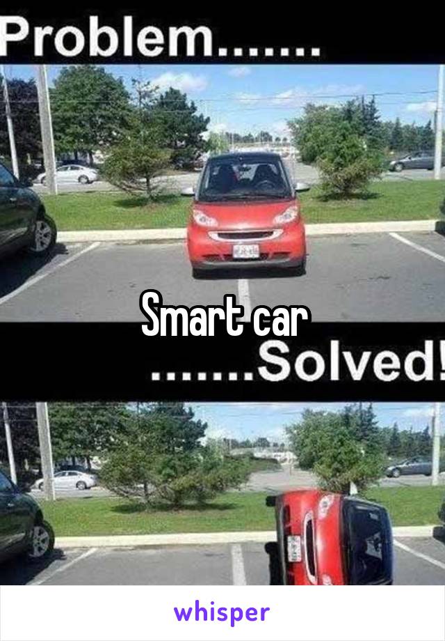 Smart car