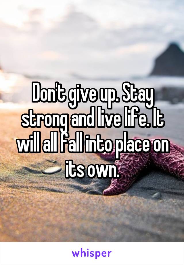 Don't give up. Stay strong and live life. It will all fall into place on its own.