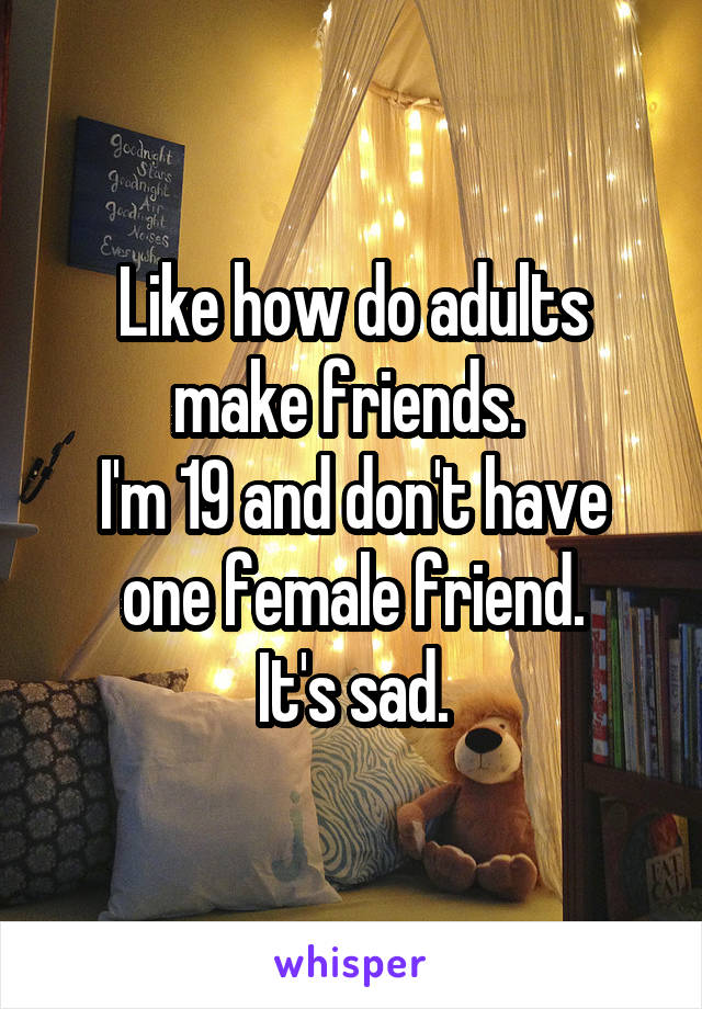 Like how do adults make friends. 
I'm 19 and don't have one female friend.
It's sad.