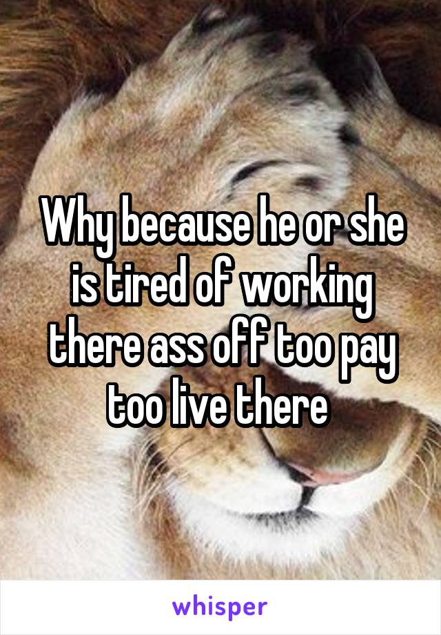 Why because he or she is tired of working there ass off too pay too live there 