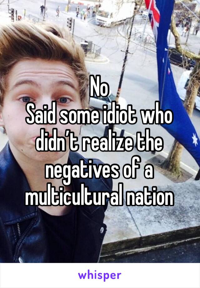 No
Said some idiot who didn’t realize the negatives of a multicultural nation