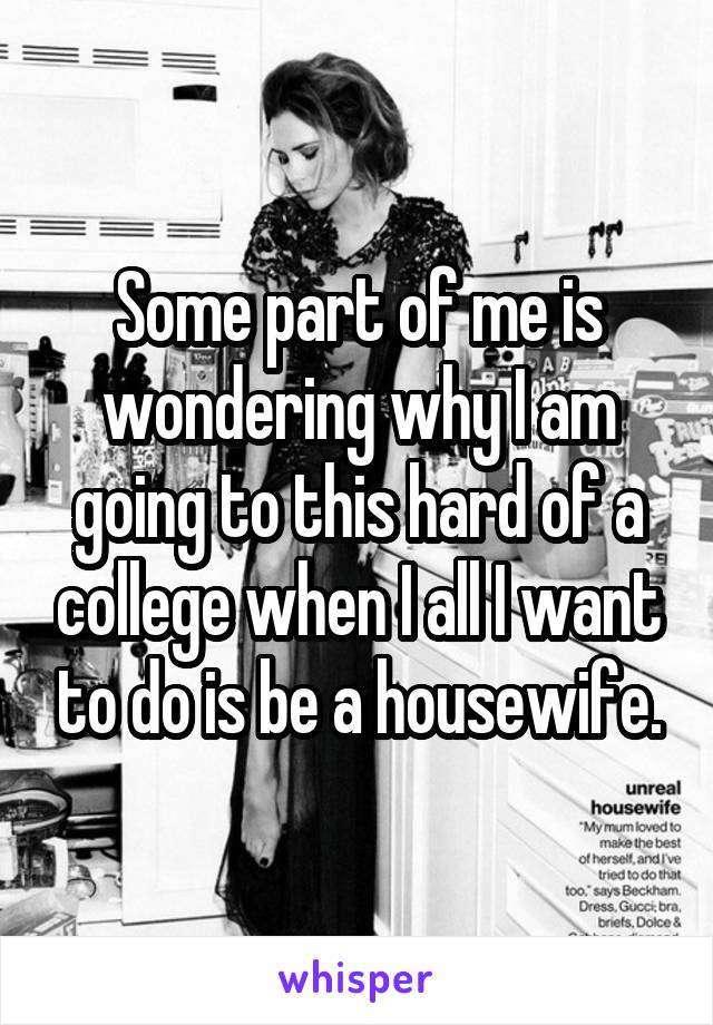 Some part of me is wondering why I am going to this hard of a college when I all I want to do is be a housewife.