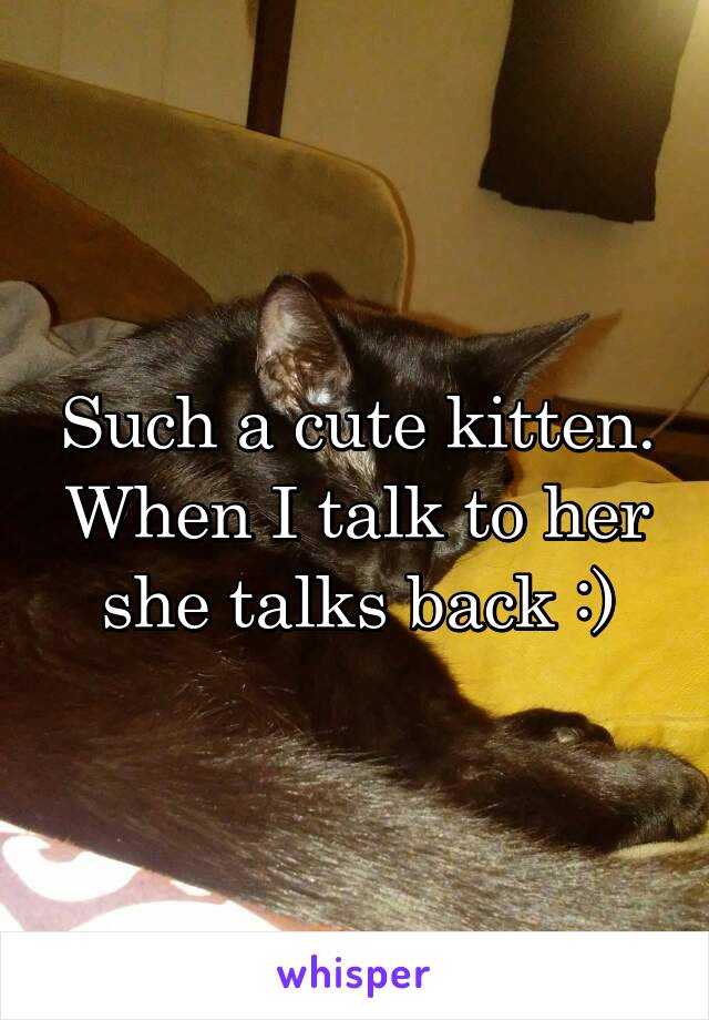 Such a cute kitten. When I talk to her she talks back :)