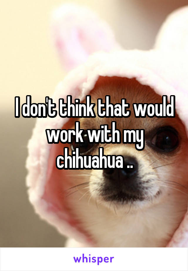 I don't think that would work with my chihuahua ..