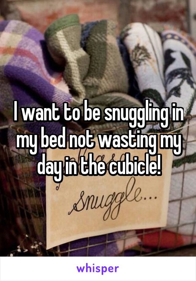 I want to be snuggling in my bed not wasting my day in the cubicle!