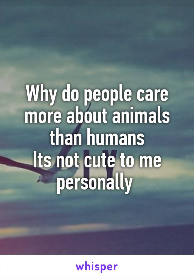 Why do people care more about animals than humans
Its not cute to me personally 
