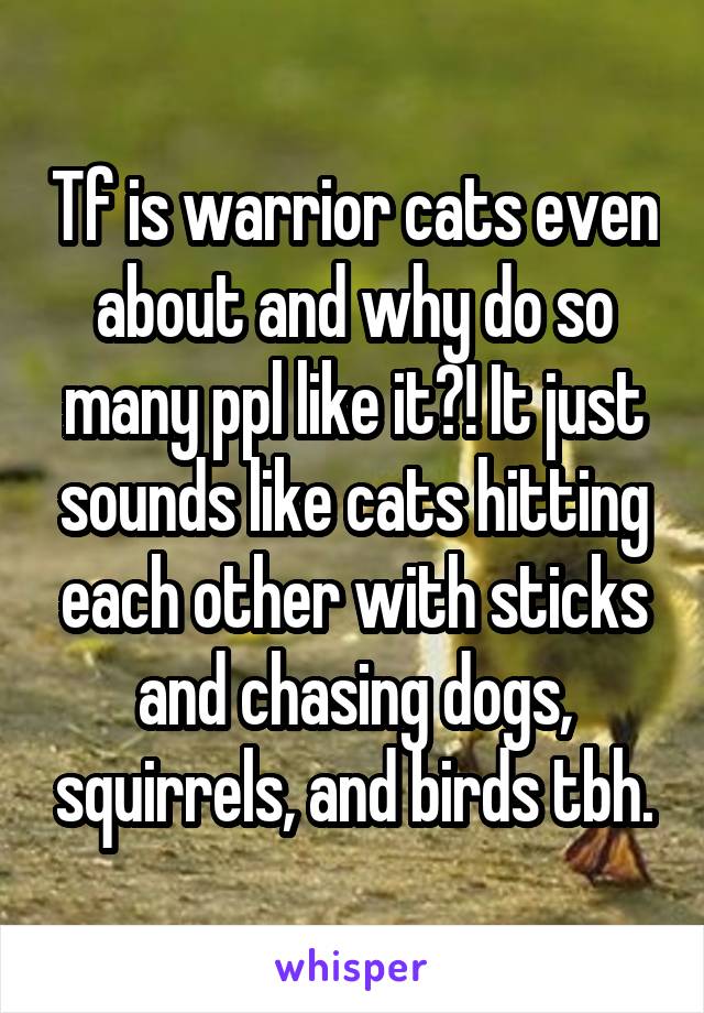 Tf is warrior cats even about and why do so many ppl like it?! It just sounds like cats hitting each other with sticks and chasing dogs, squirrels, and birds tbh.