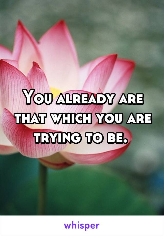 You already are that which you are trying to be. 