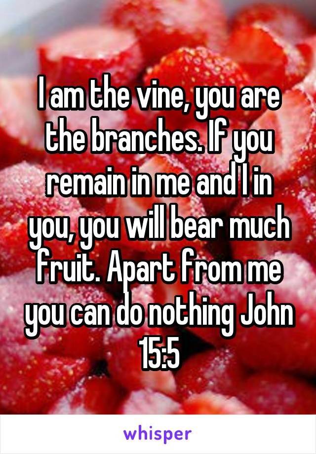 I am the vine, you are the branches. If you remain in me and I in you, you will bear much fruit. Apart from me you can do nothing John 15:5