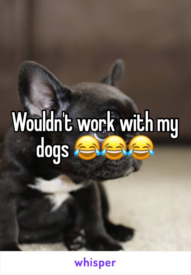 Wouldn't work with my dogs 😂😂😂