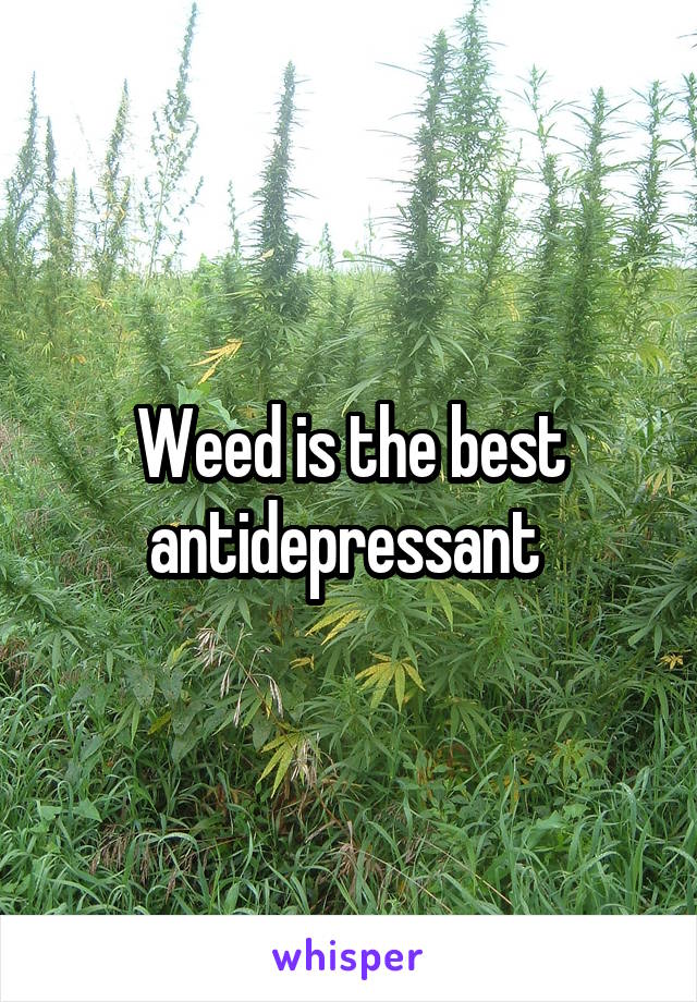 Weed is the best antidepressant 
