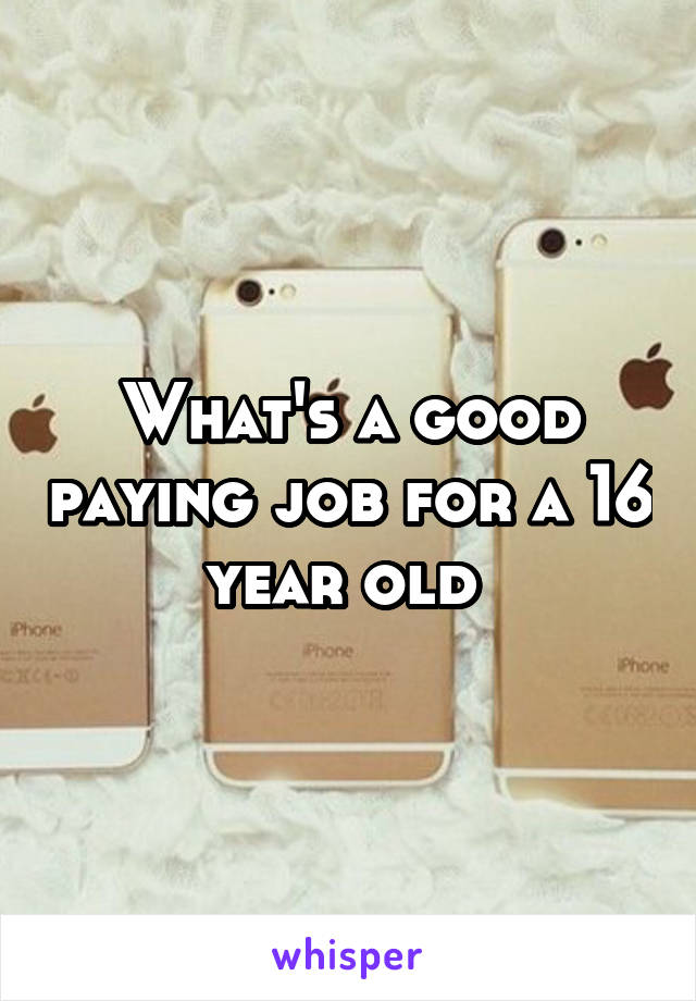 What's a good paying job for a 16 year old 