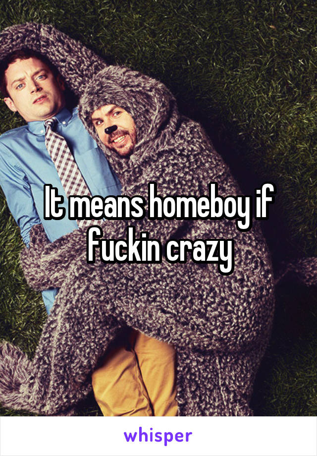 It means homeboy if fuckin crazy