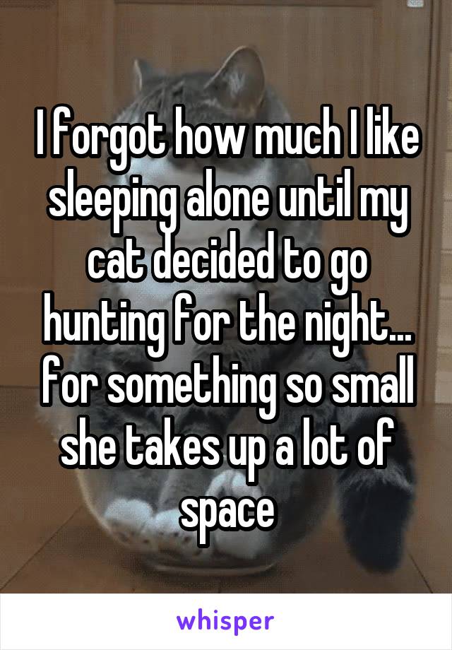 I forgot how much I like sleeping alone until my cat decided to go hunting for the night... for something so small she takes up a lot of space
