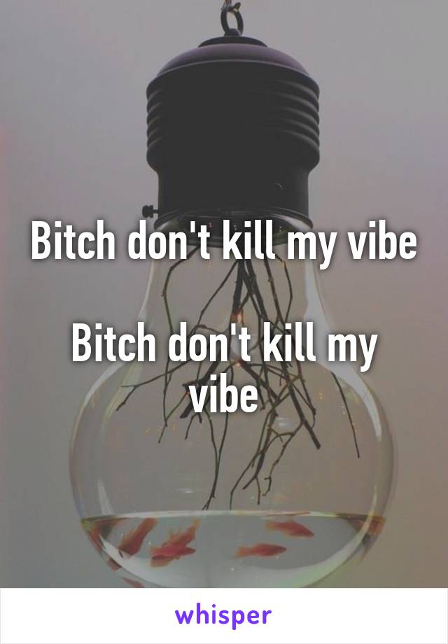 Bitch don't kill my vibe 
Bitch don't kill my vibe