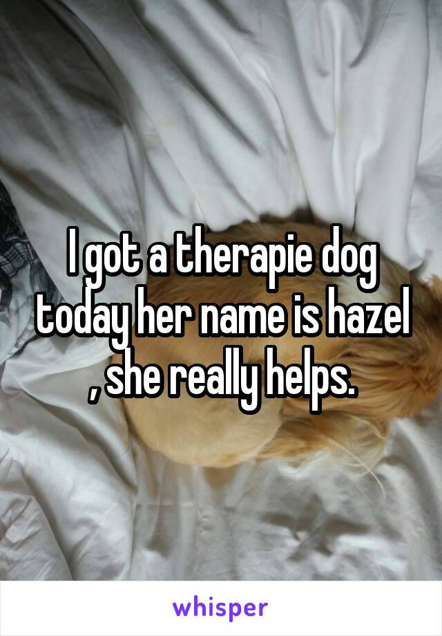 I got a therapie dog today her name is hazel , she really helps.