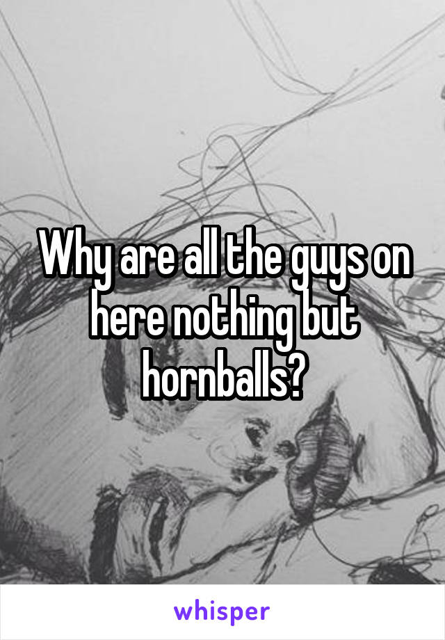 Why are all the guys on here nothing but hornballs?