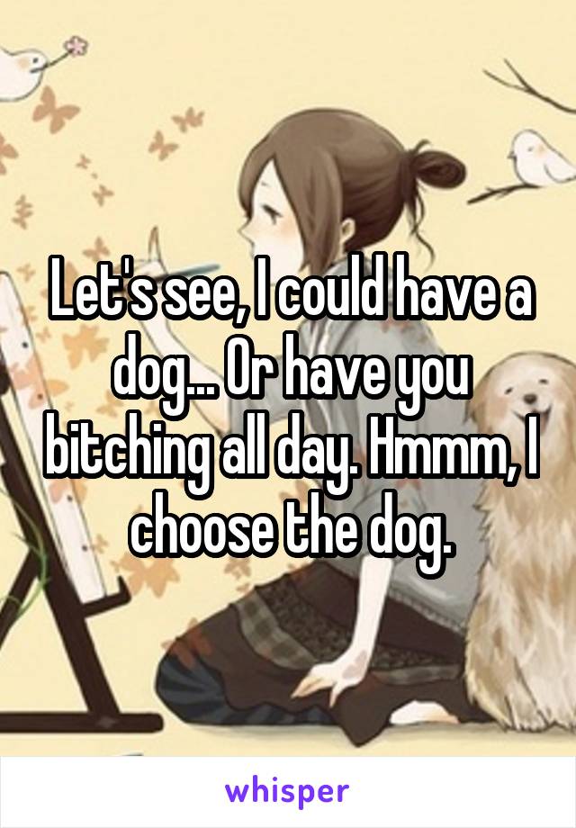 Let's see, I could have a dog... Or have you bitching all day. Hmmm, I choose the dog.