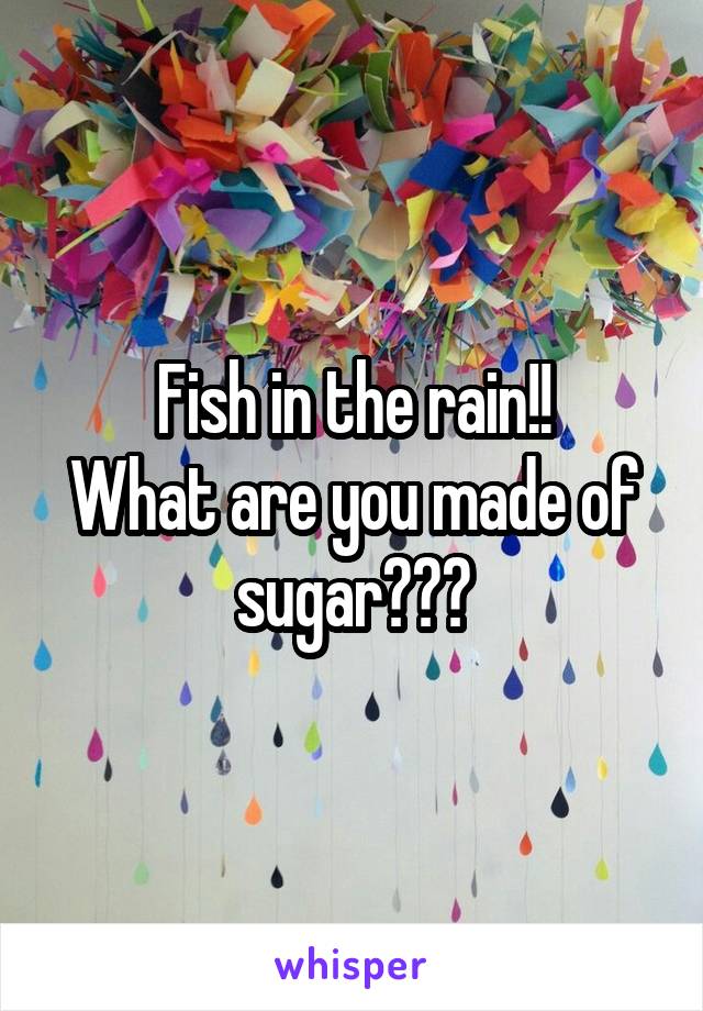 Fish in the rain!!
What are you made of sugar???