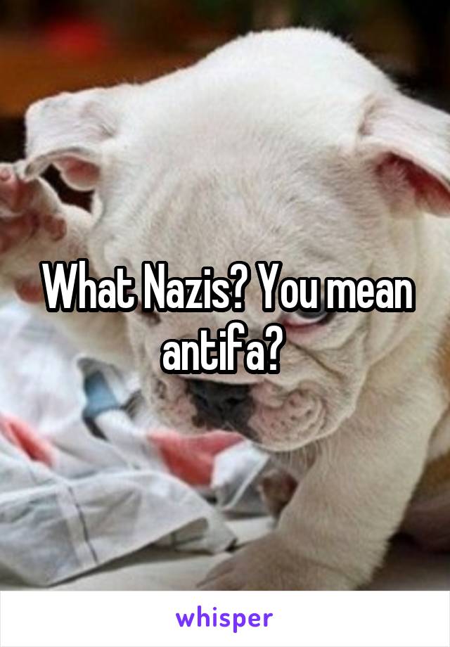 What Nazis? You mean antifa? 