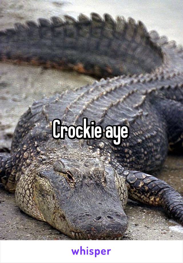 Crockie aye 