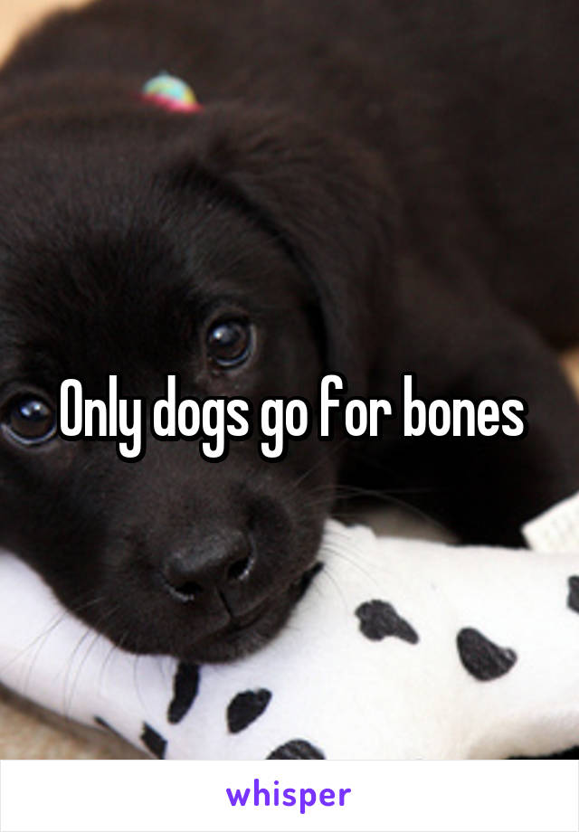 Only dogs go for bones