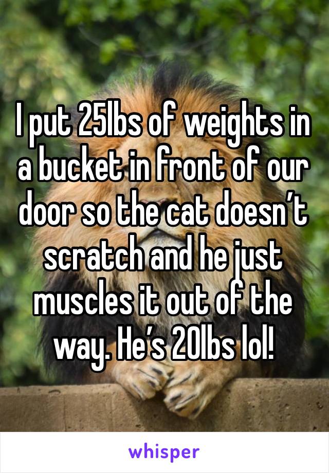 I put 25lbs of weights in a bucket in front of our door so the cat doesn’t  scratch and he just muscles it out of the way. He’s 20lbs lol! 