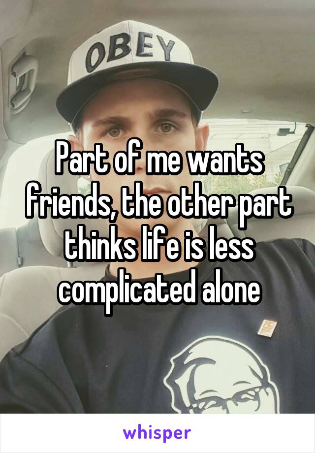Part of me wants friends, the other part thinks life is less complicated alone