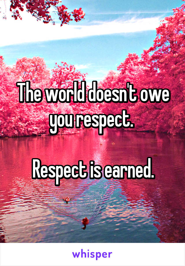 The world doesn't owe you respect. 

Respect is earned.
