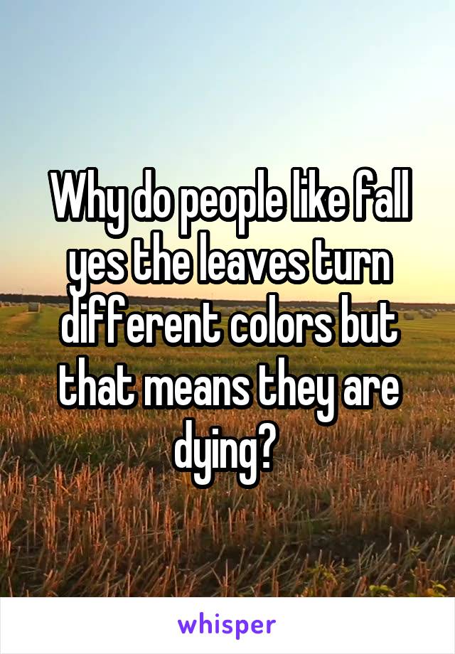 Why do people like fall yes the leaves turn different colors but that means they are dying? 