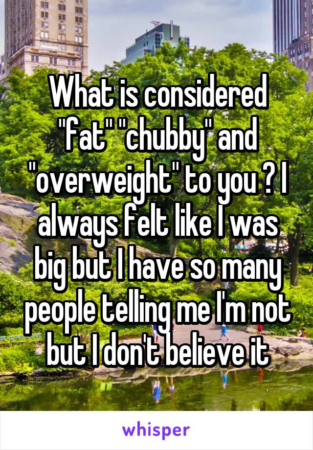 What is considered "fat" "chubby" and "overweight" to you ? I always felt like I was big but I have so many people telling me I'm not but I don't believe it