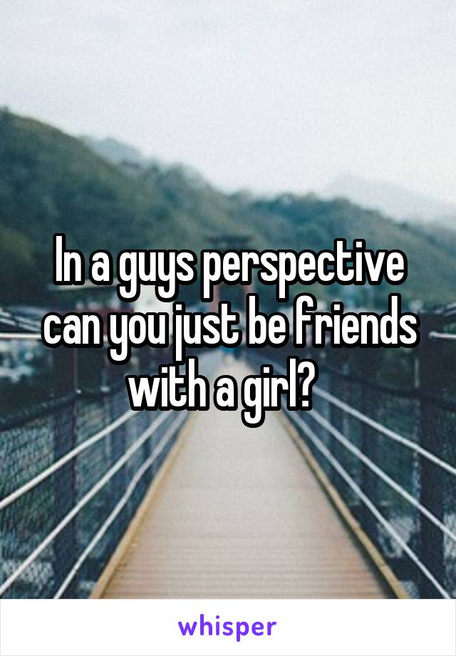 In a guys perspective can you just be friends with a girl?  