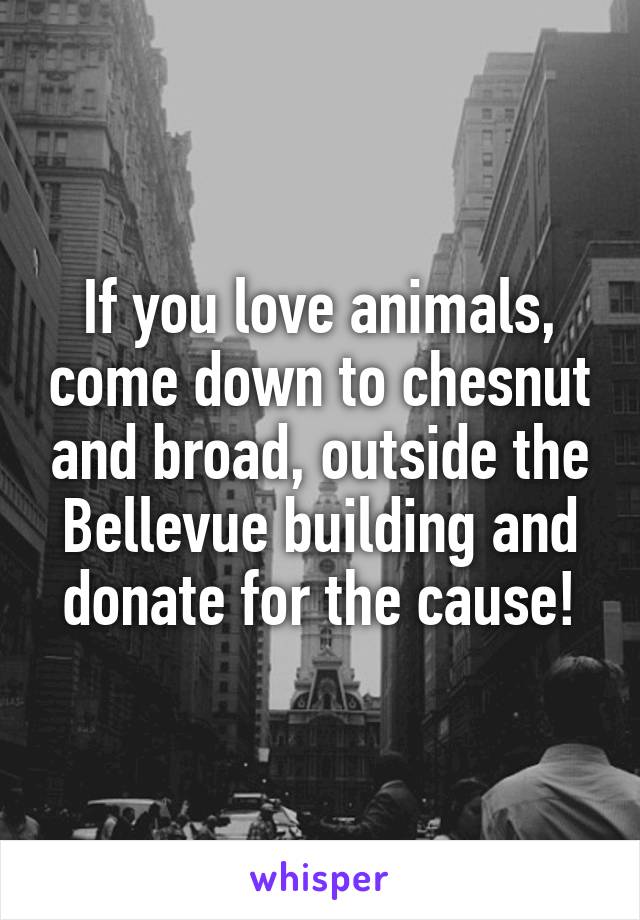 If you love animals, come down to chesnut and broad, outside the Bellevue building and donate for the cause!
