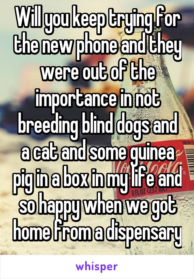 Will you keep trying for the new phone and they were out of the importance in not breeding blind dogs and a cat and some guinea pig in a box in my life and so happy when we got home from a dispensary 