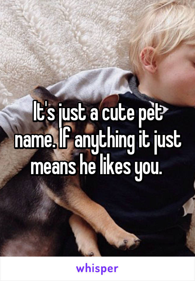 It's just a cute pet name. If anything it just means he likes you. 