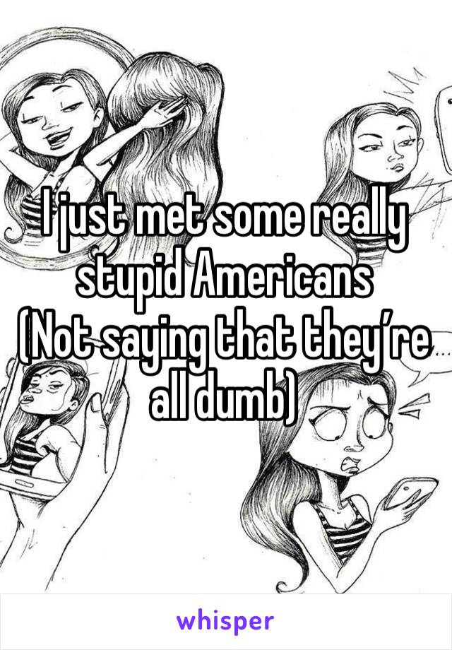 I just met some really stupid Americans 
(Not saying that they’re all dumb)