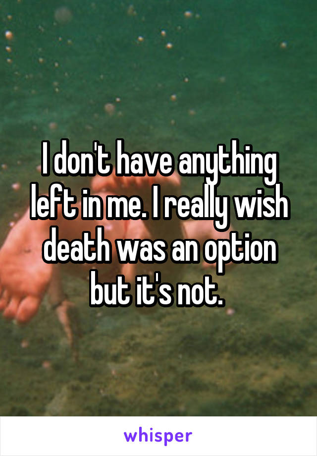 I don't have anything left in me. I really wish death was an option but it's not. 